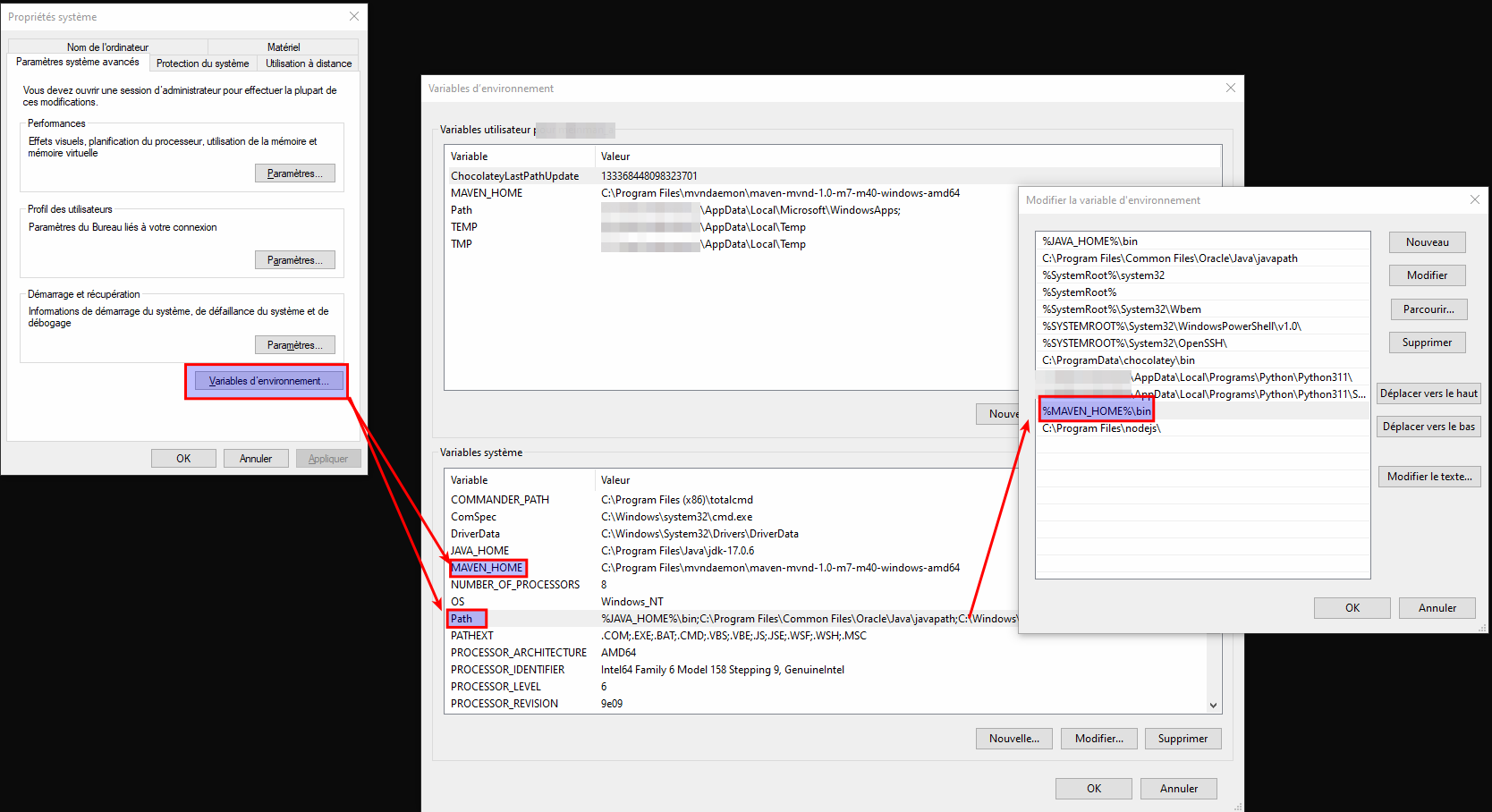 Windows environment variables